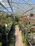 Sadovnik na Kostromskoj 24 (Kostromskaya ulitsa, 24), vivero de plantas