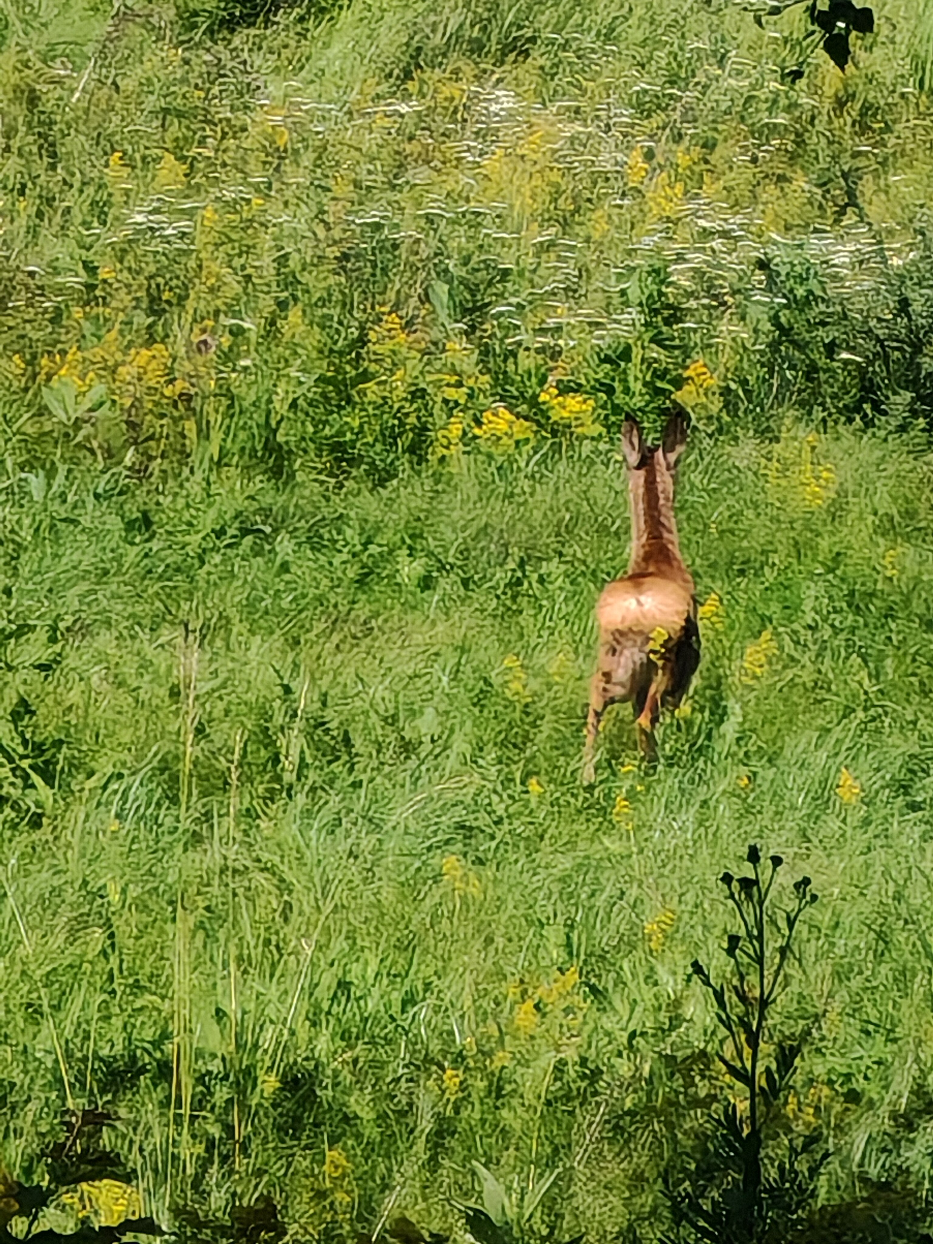Фото Волшебница