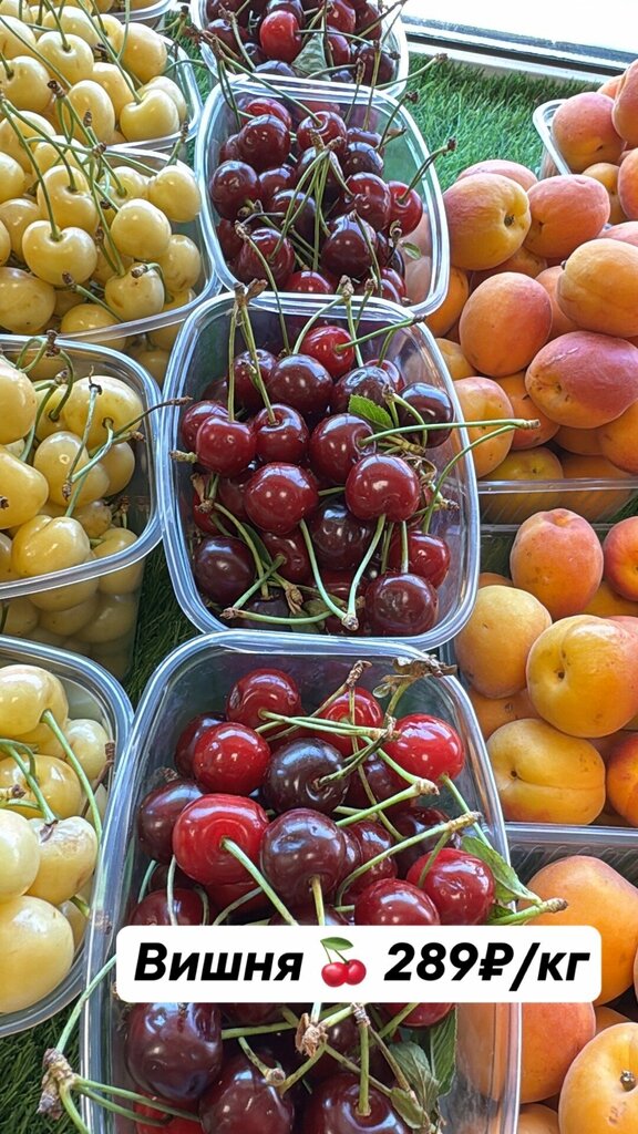 Grocery Чипполино, Orel, photo