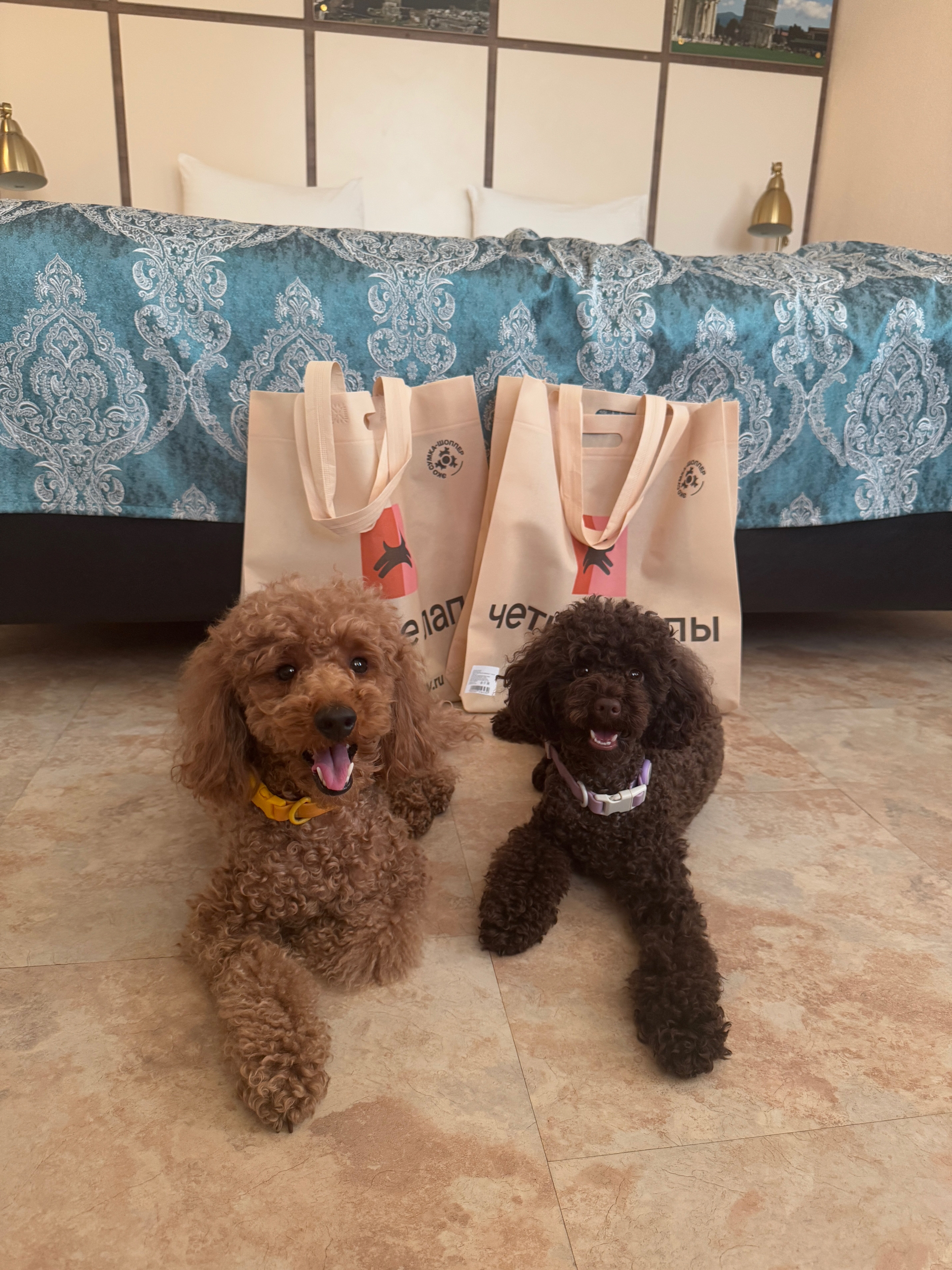 Фото Customs House