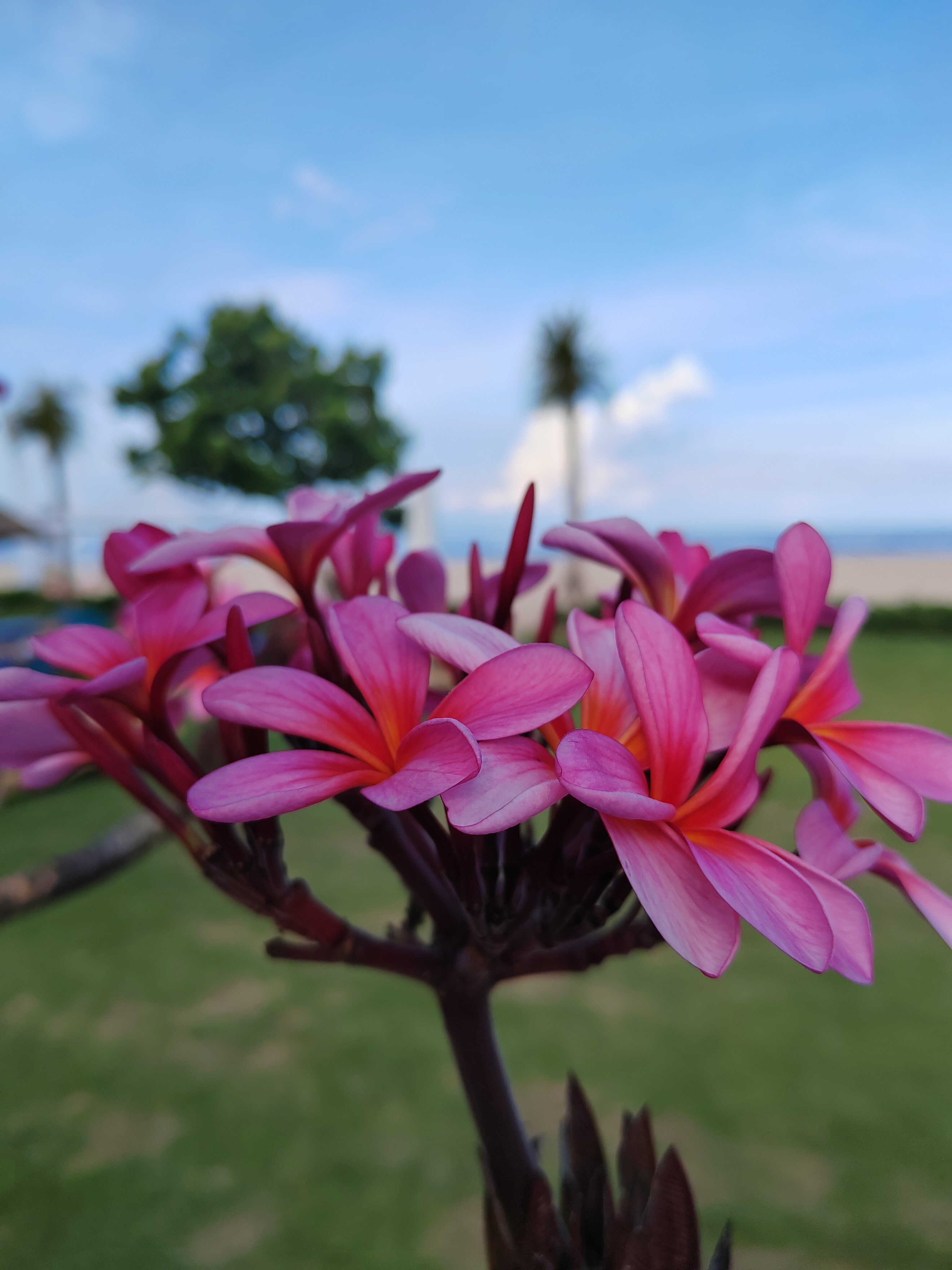 Фото Ayodya Resort Bali