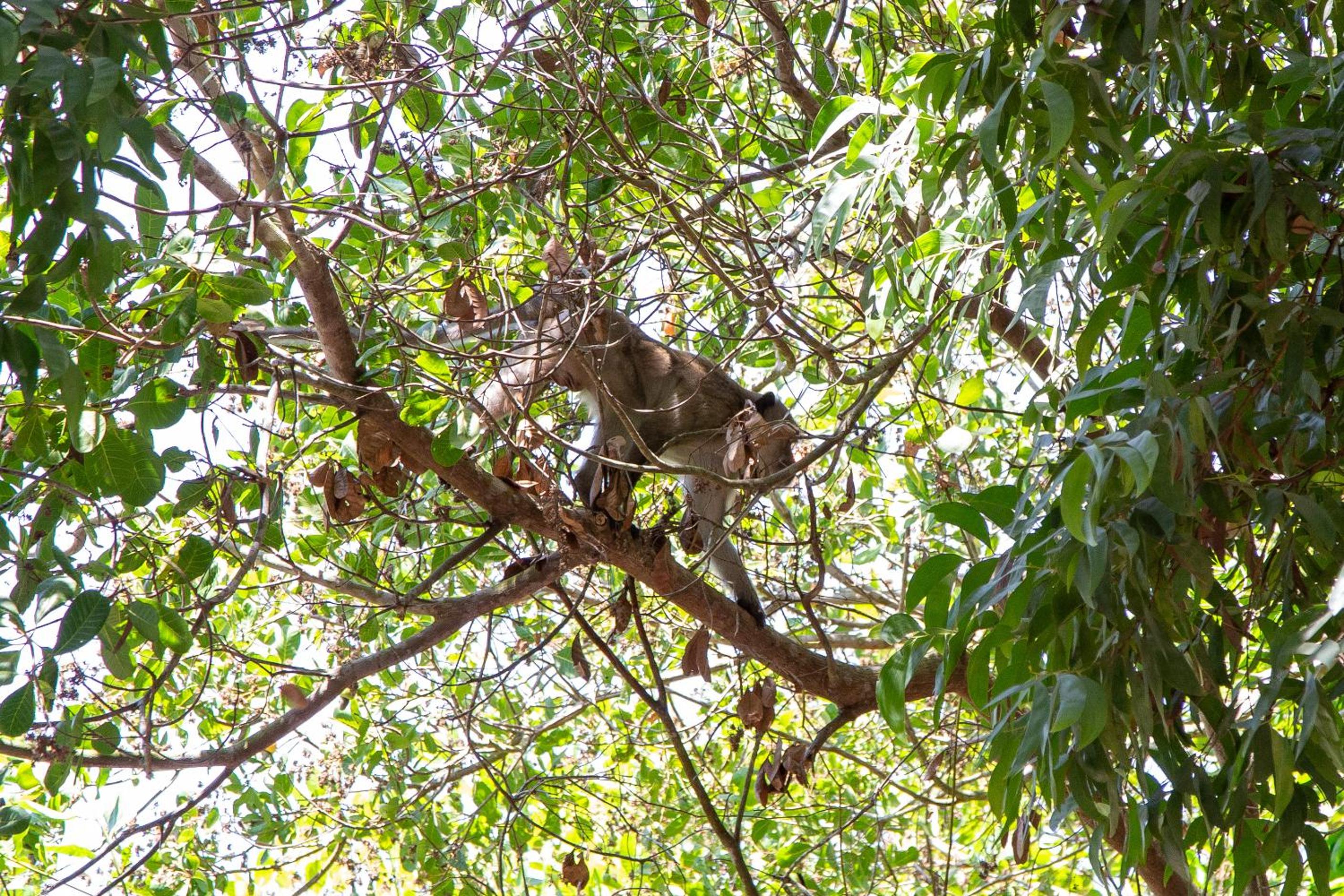 Фото Frog Beach House