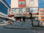 Sanat Çiçekçilik (Istanbul, Avcilar, Balik Yolu Avenue, 70B) ، محل زهور