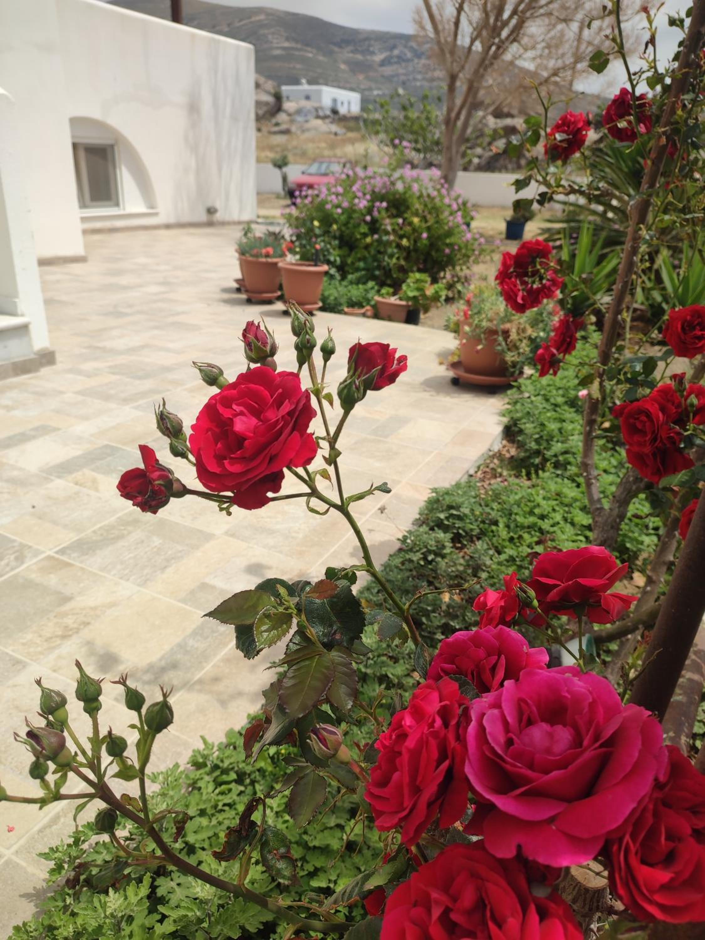 Фото Joanna's Apartments