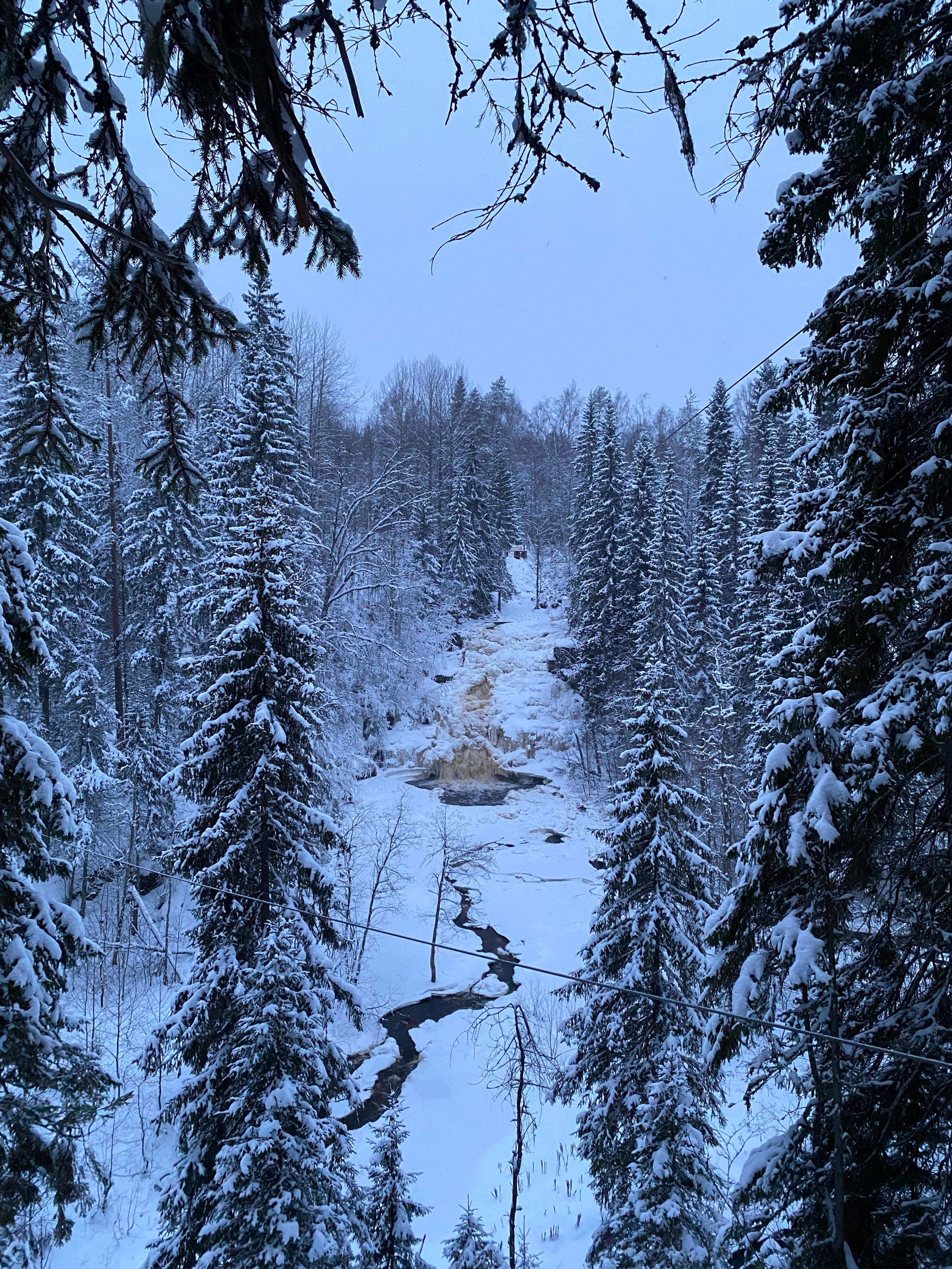 Фото Белые мосты