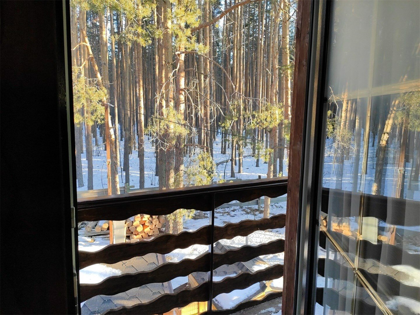 Фото Берёзка