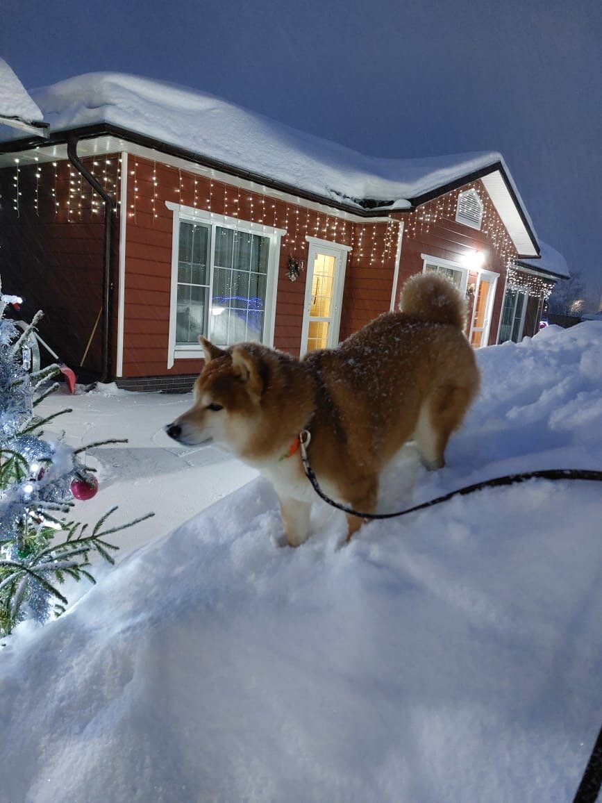 Фото Слобода