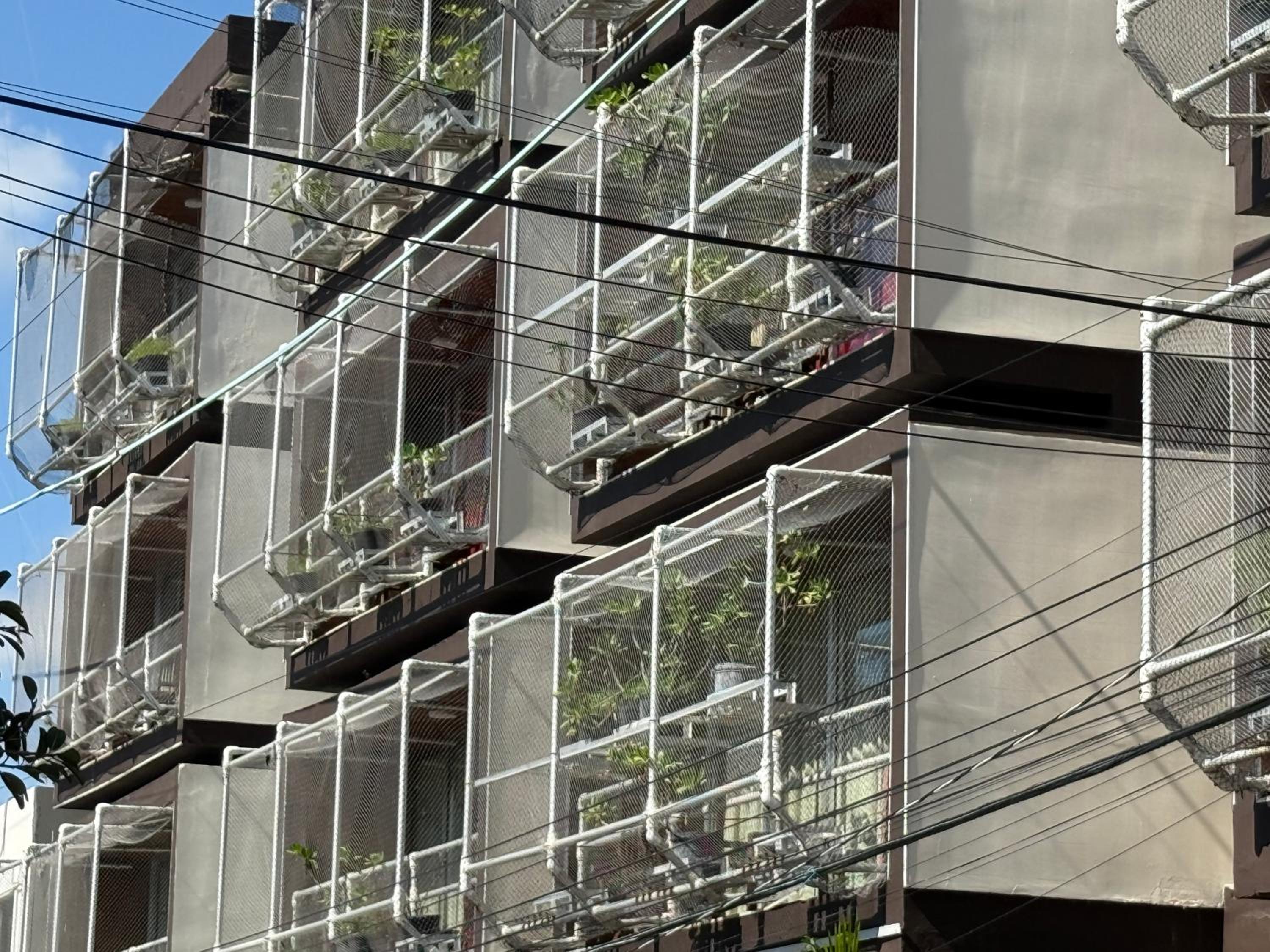 Фото Reina Roja Hotel Boutique