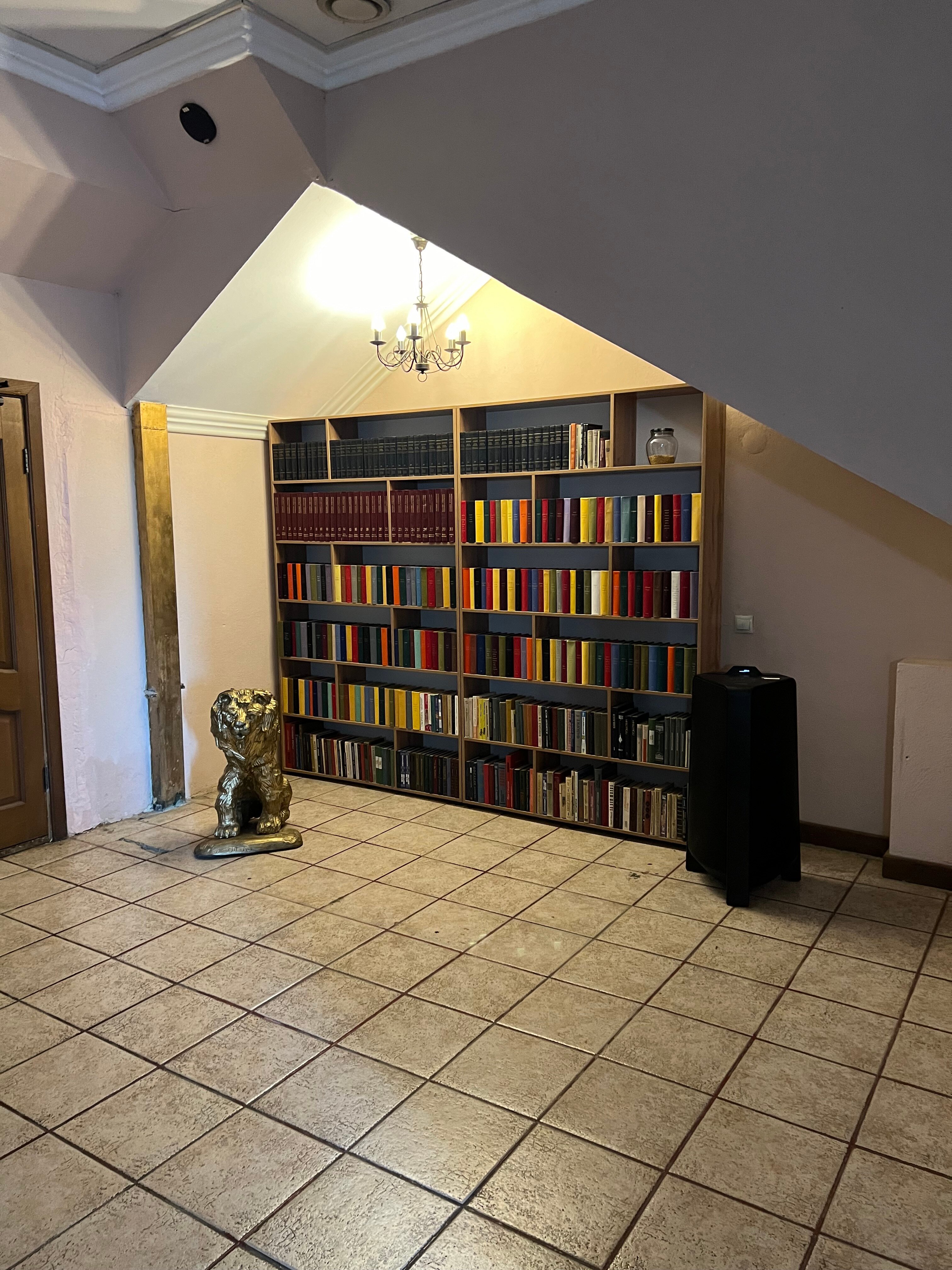 Фото Золотой дракон