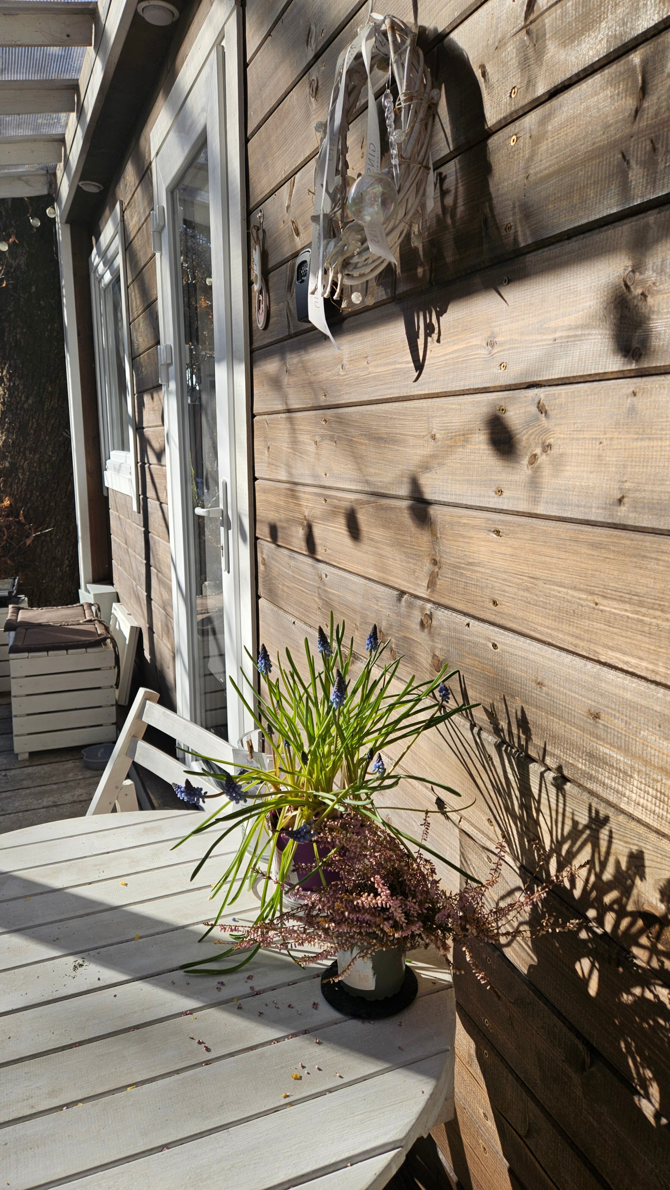 Фото Зайки в домике