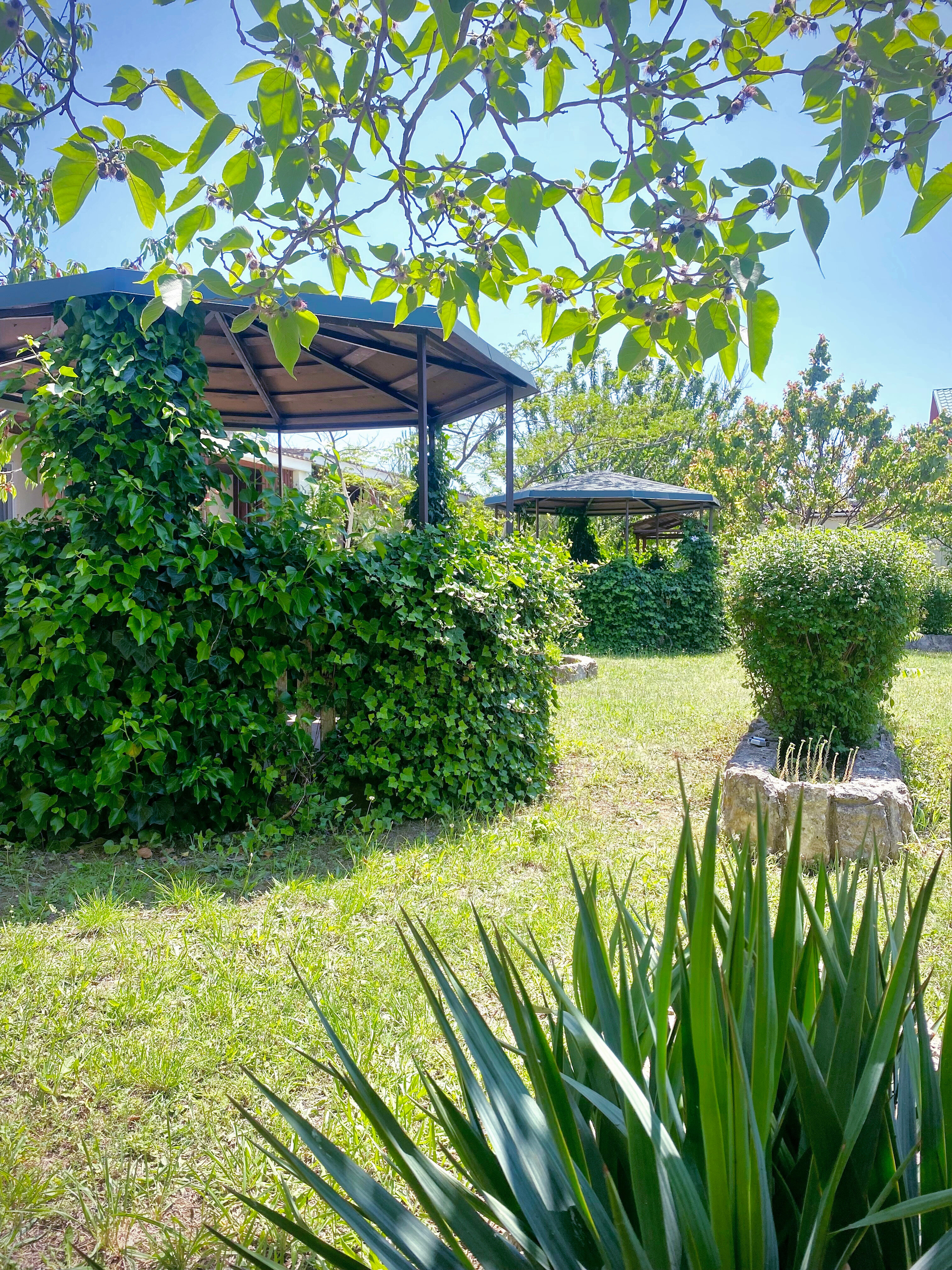 Фото АвокаДа