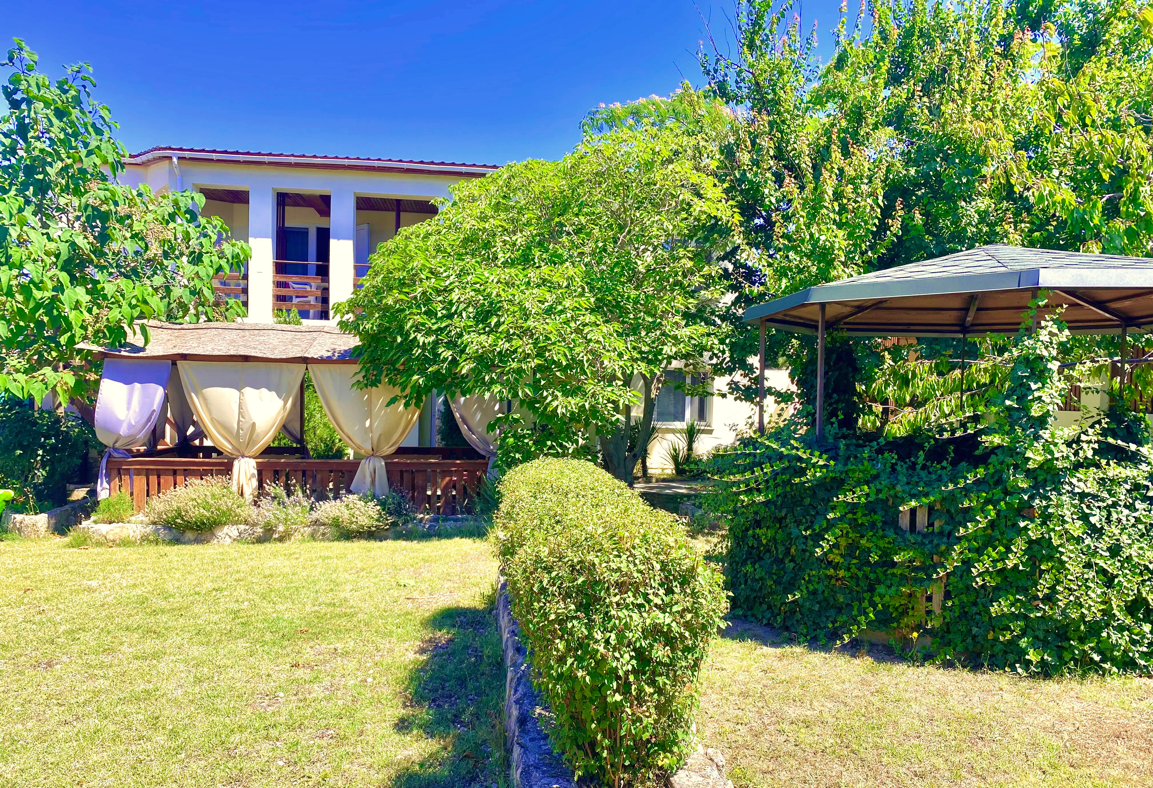 Фото АвокаДа