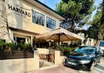 Harvard Cafe (Istanbul, Besiktas, Etiler Neighborhood, Ahular Street, 1), cafe