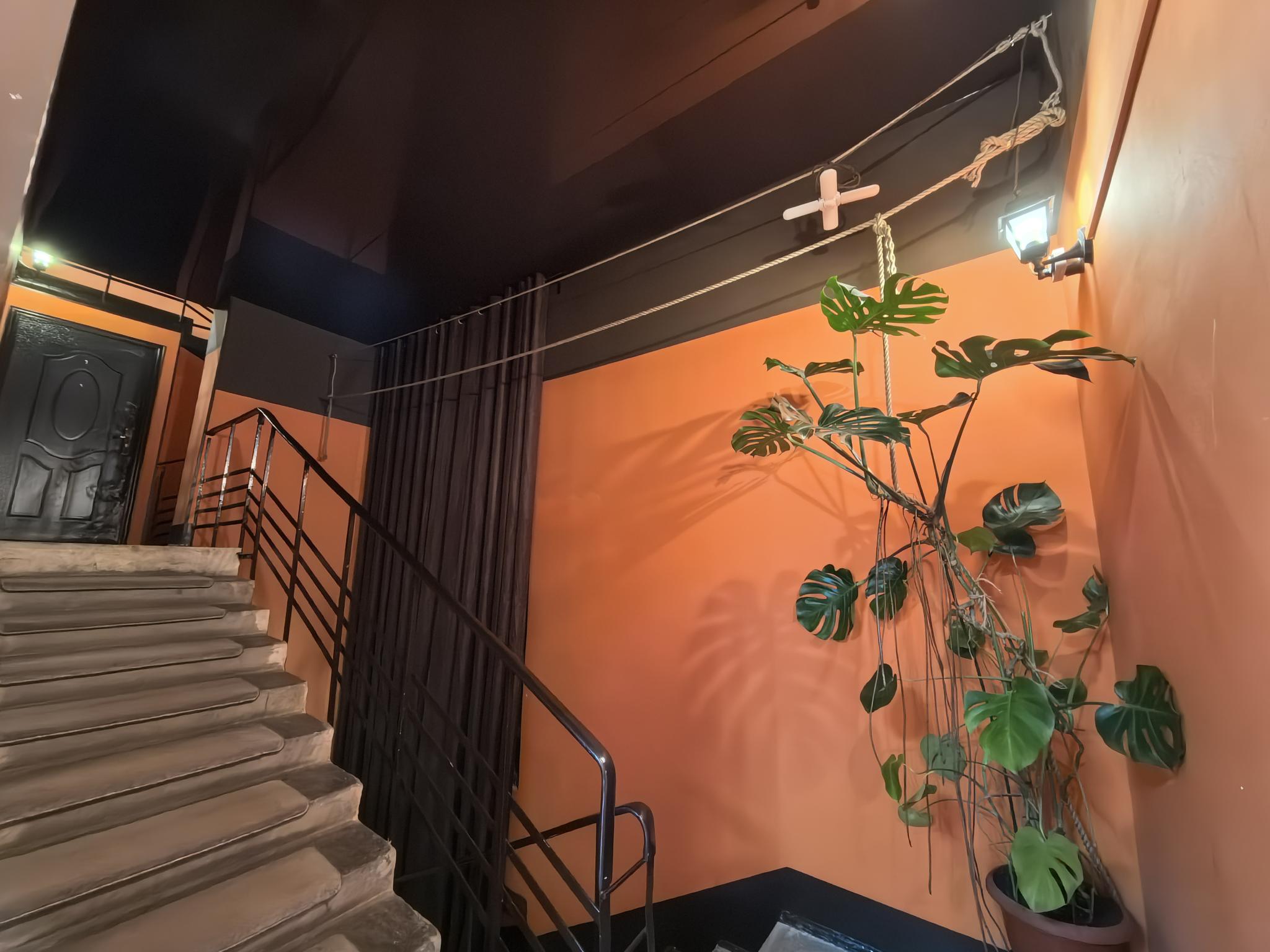 Фото Сон lite