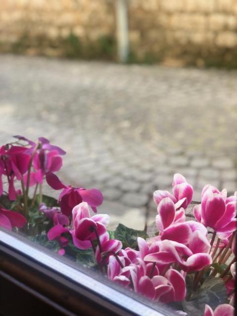 Фото Ali Pasha Hotel