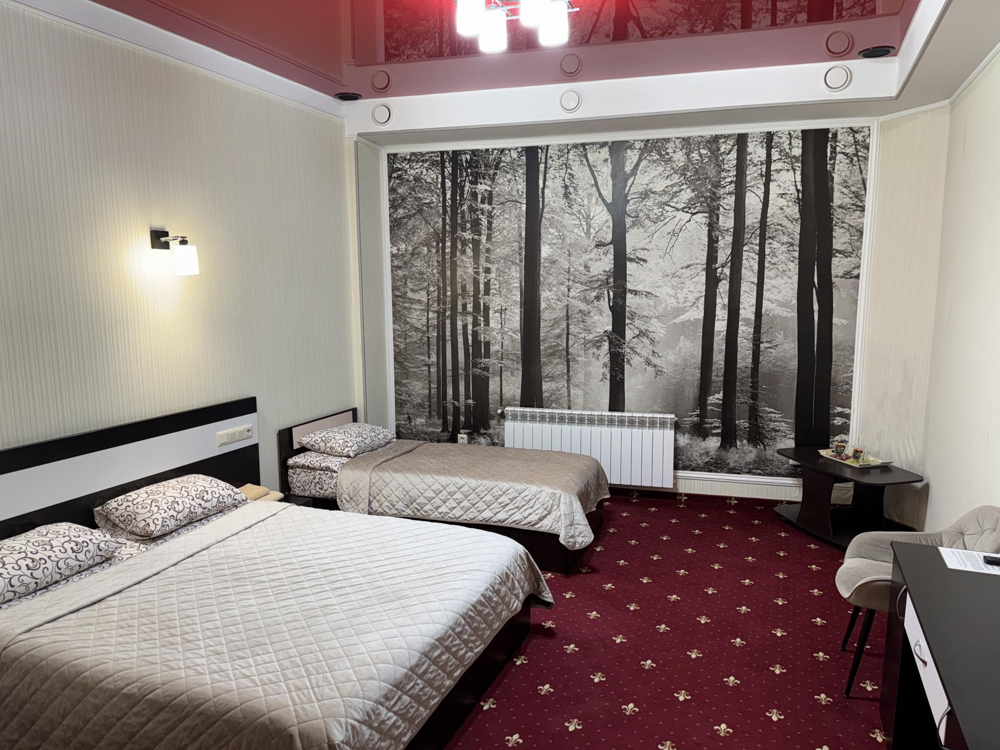 Фото Звезда