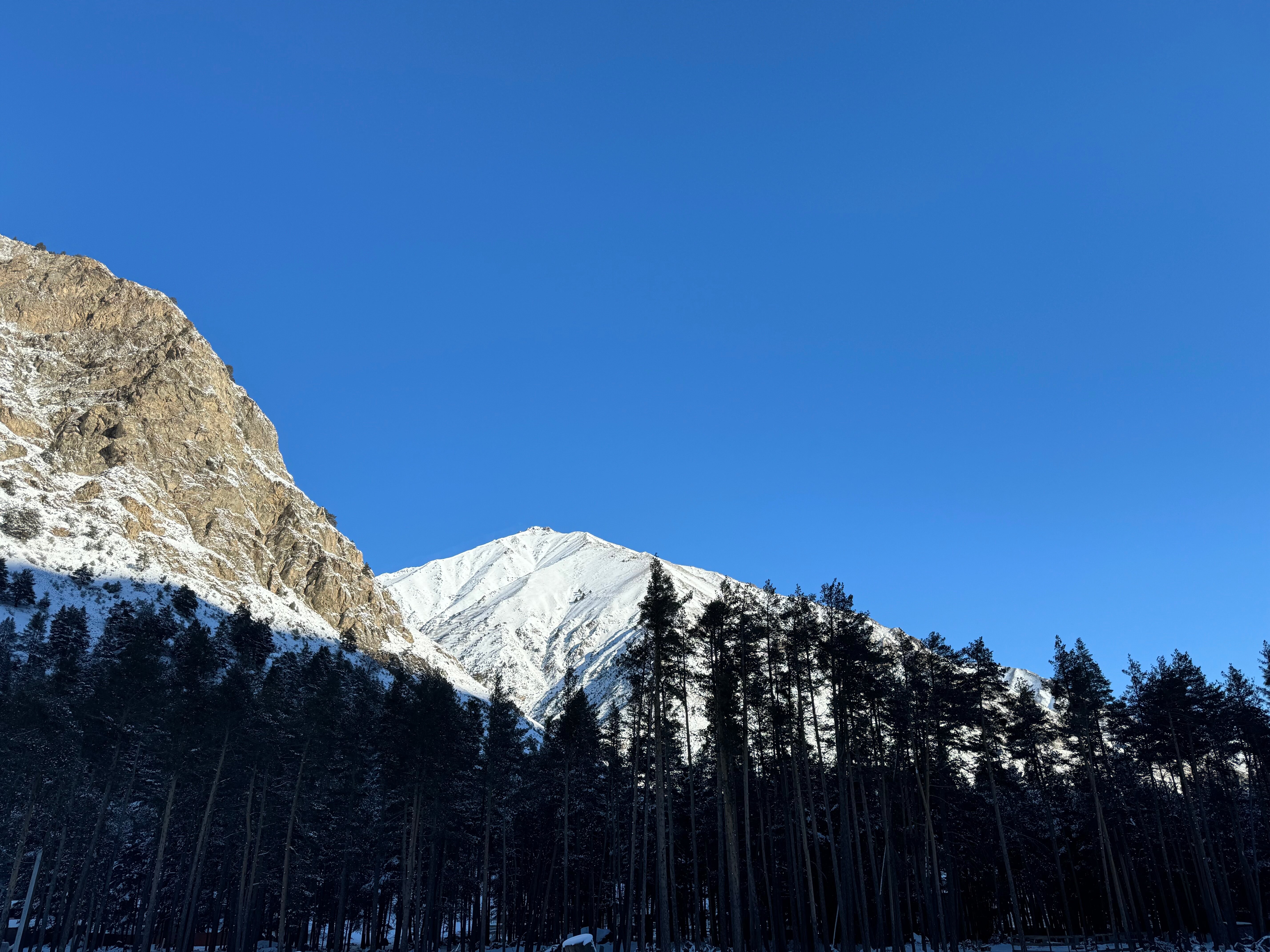 Фото Эко Хаус