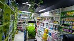Terrarium.kz (Almaly City Administrative District, Jambyl Street, 155к2), pet shop