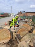 Drevanet (stanitsa Poltavskaya, ulitsa Karla Marksa, 301), embellecimiento urbano