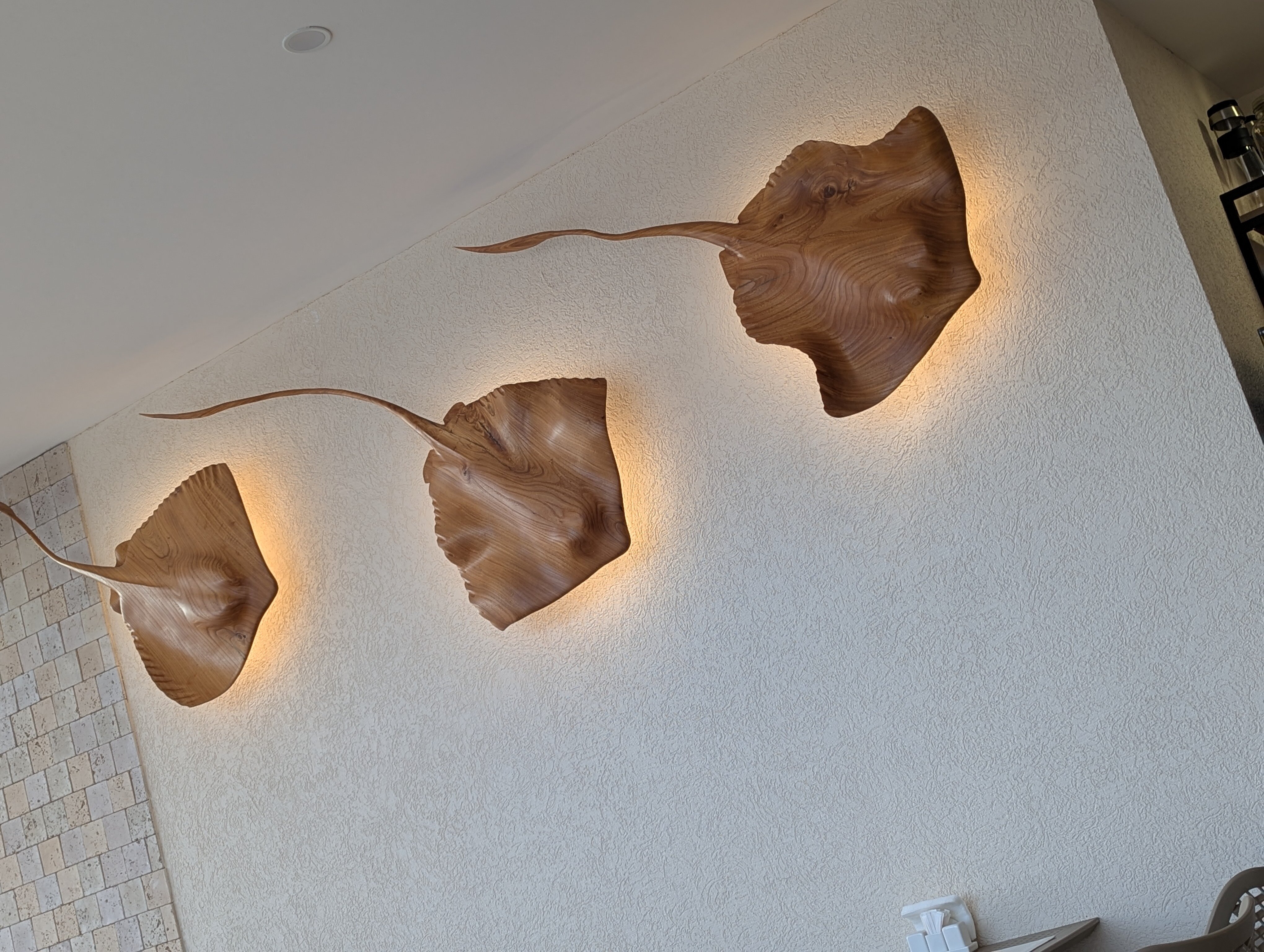 Фото Континент