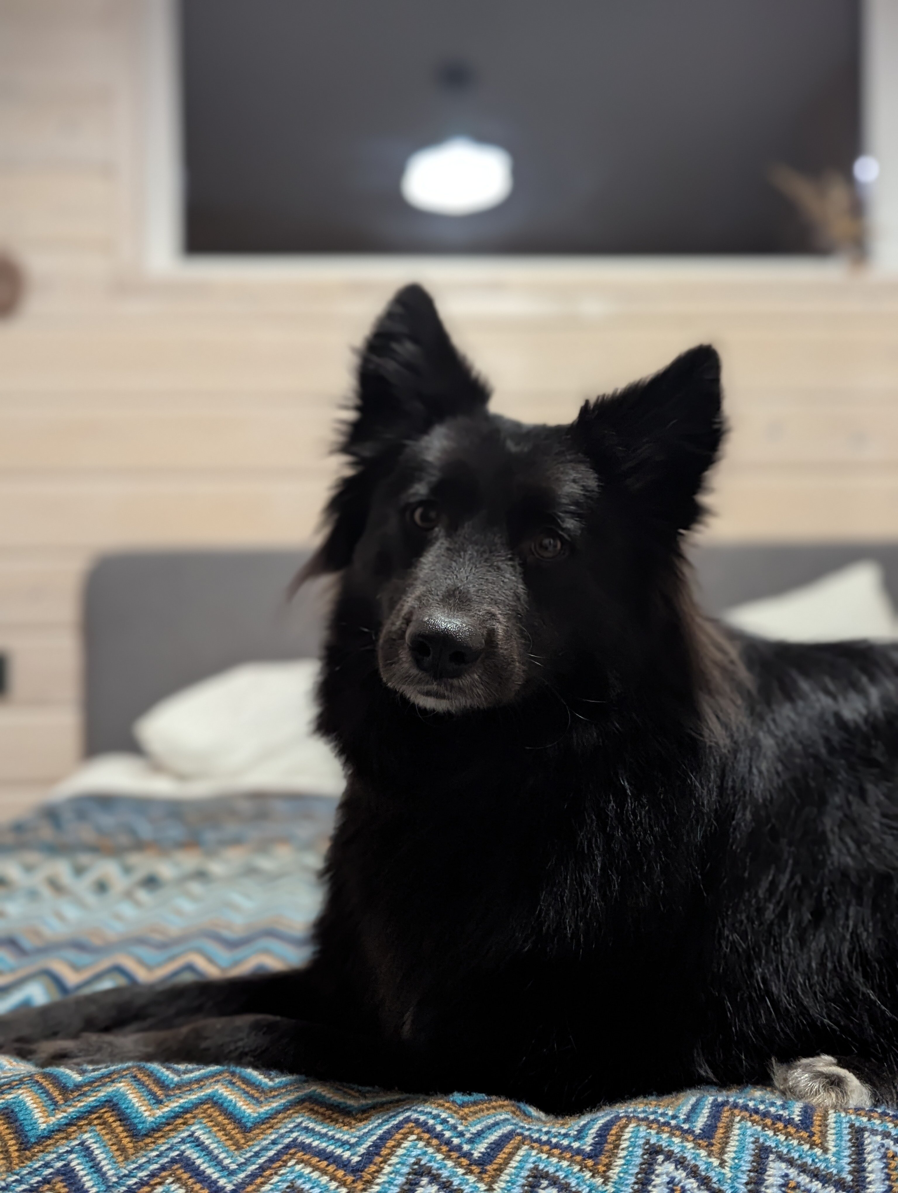 Фото ДИПДача