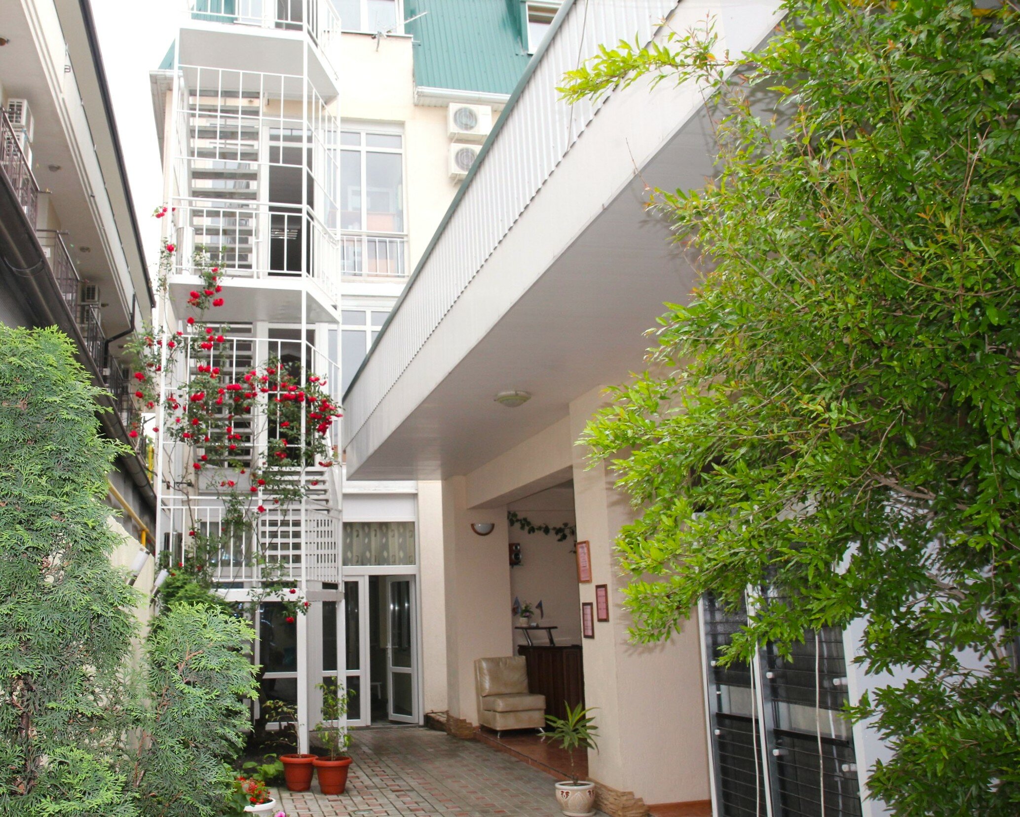 Фото Дивный