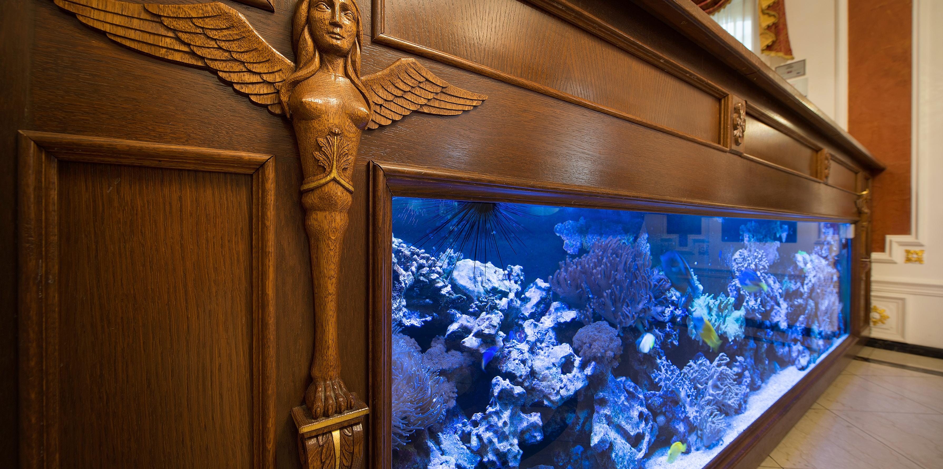 Фото 57723402412