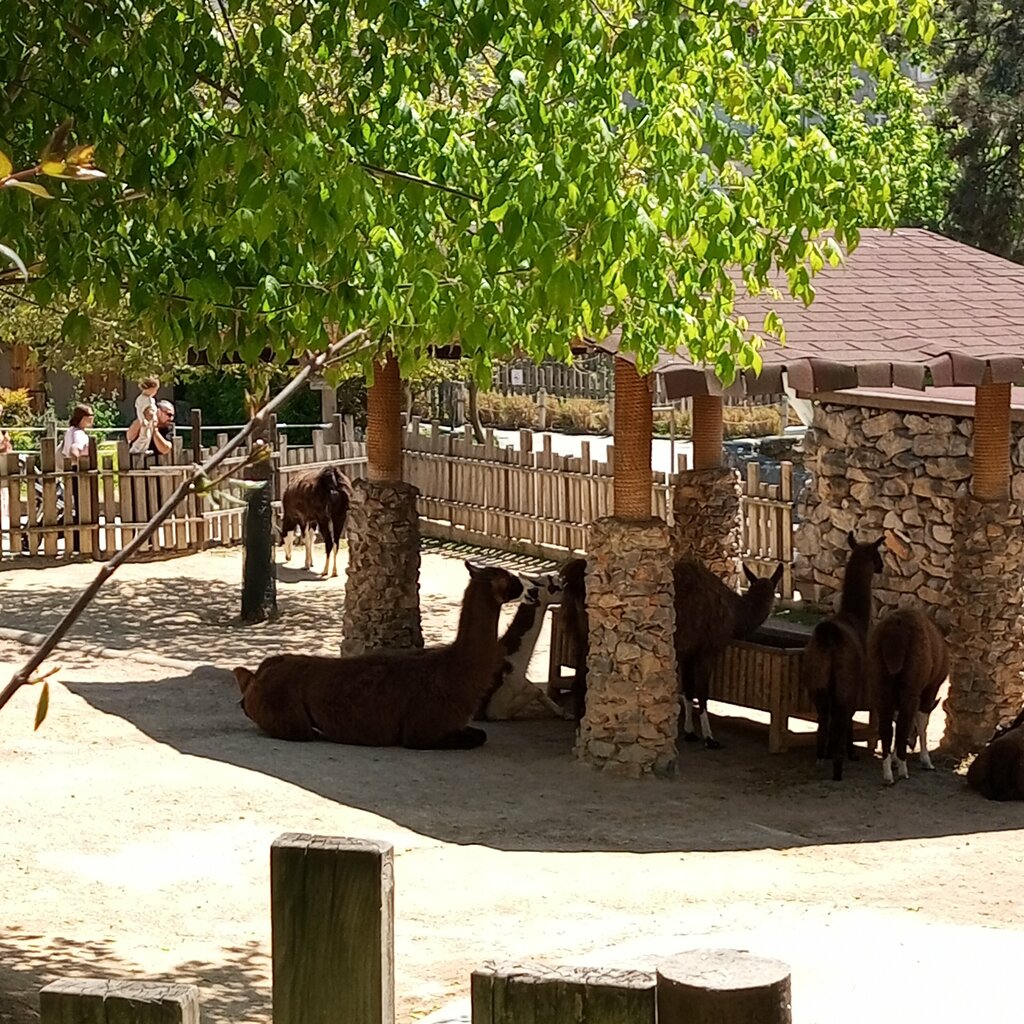 حديقة الحيوانات Boğaziçi Zoo Park ، ، صورة