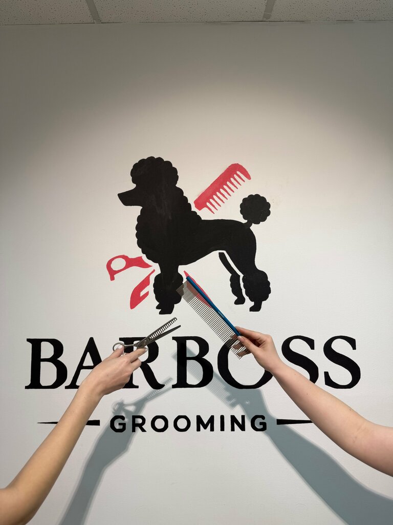 Pet salon BarBoss, Tambov, photo