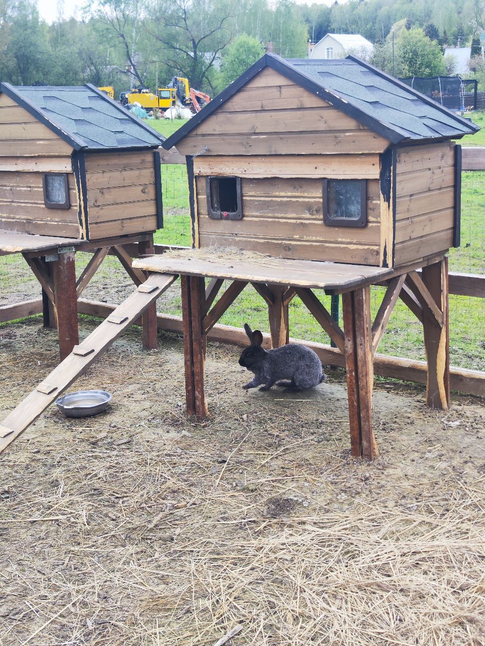 Фото Семейная экоферма