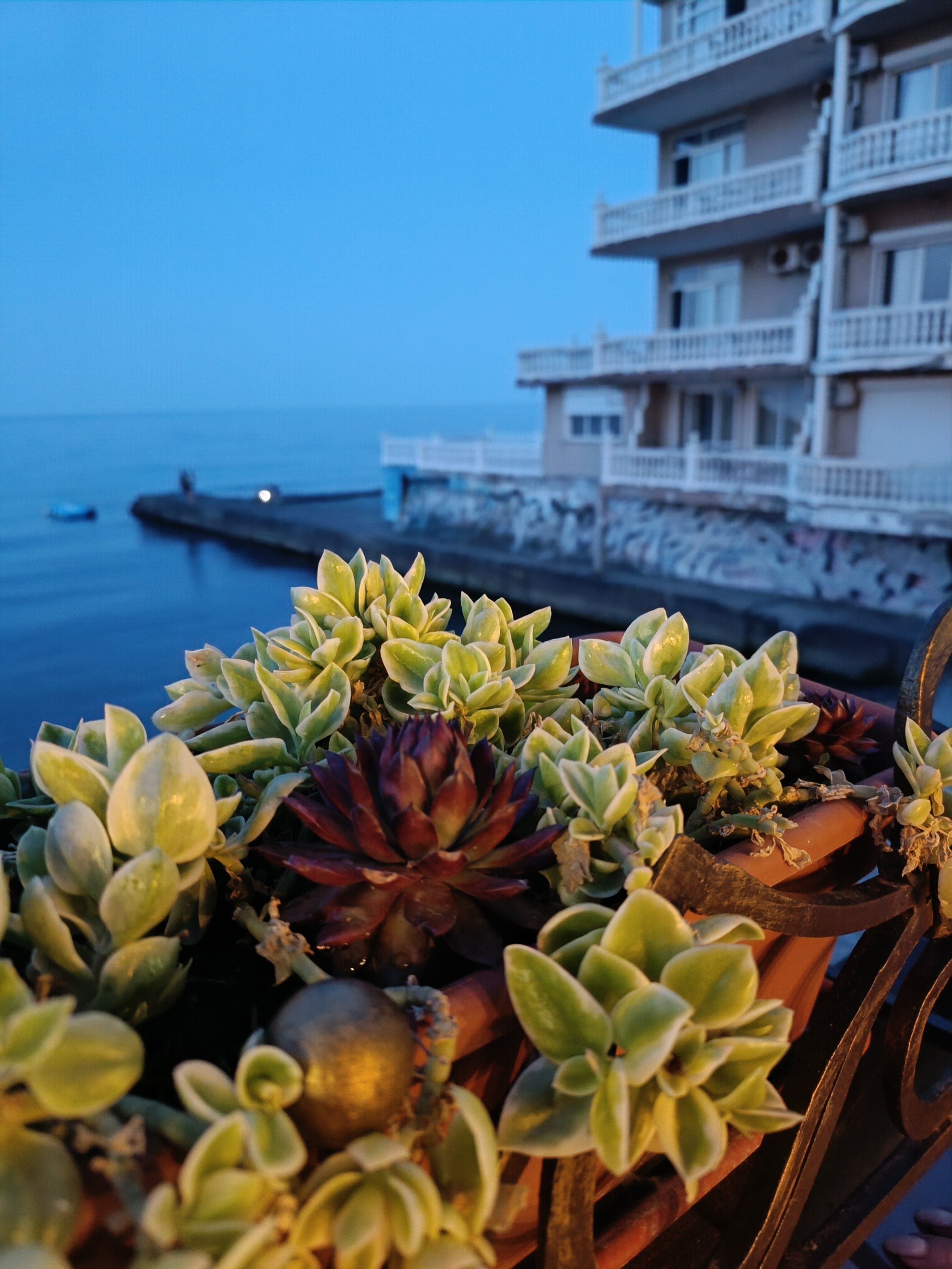 Фото Ламбат