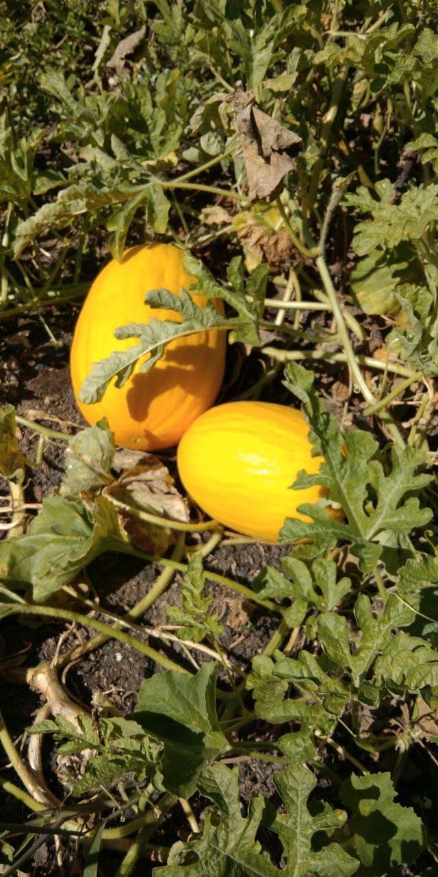 Фото Город-Ок