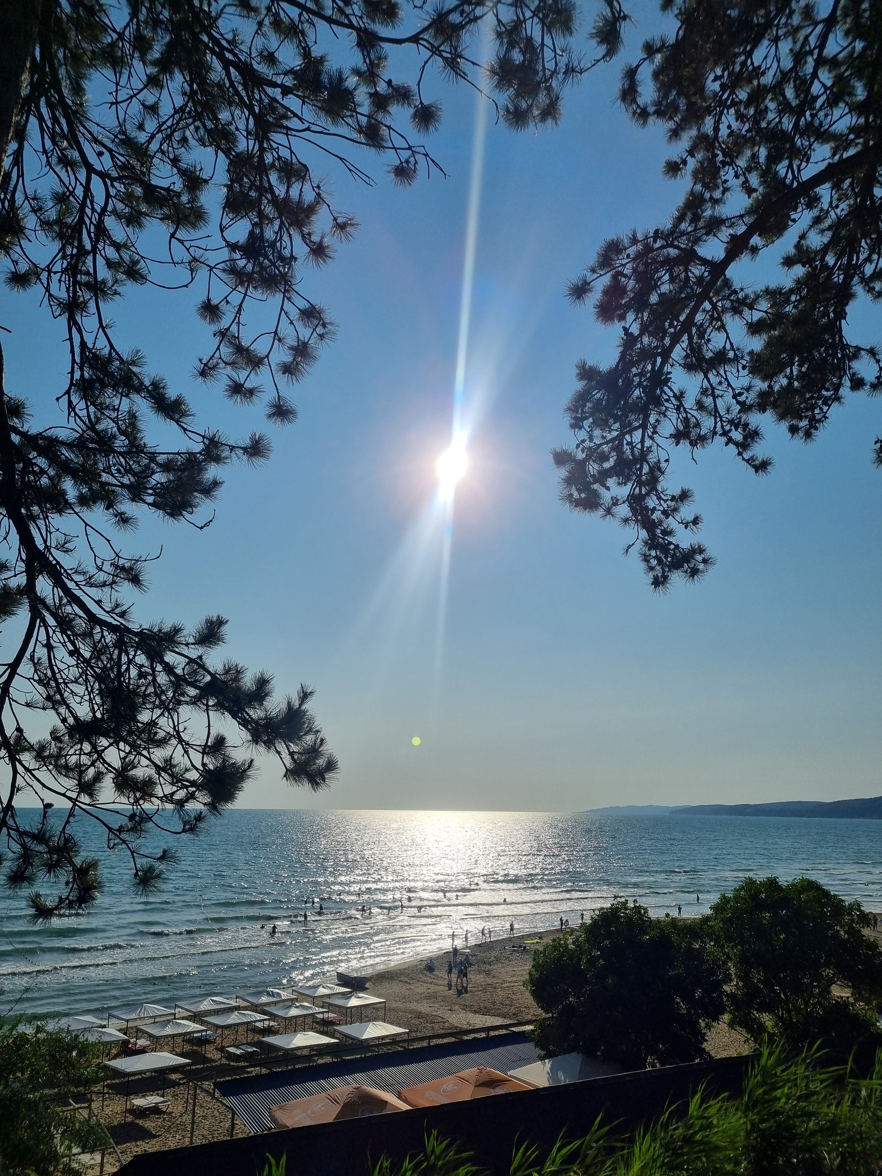 Фото Grand Royal