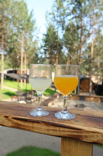 Дом отдыха Манский фрейм в Красноярске