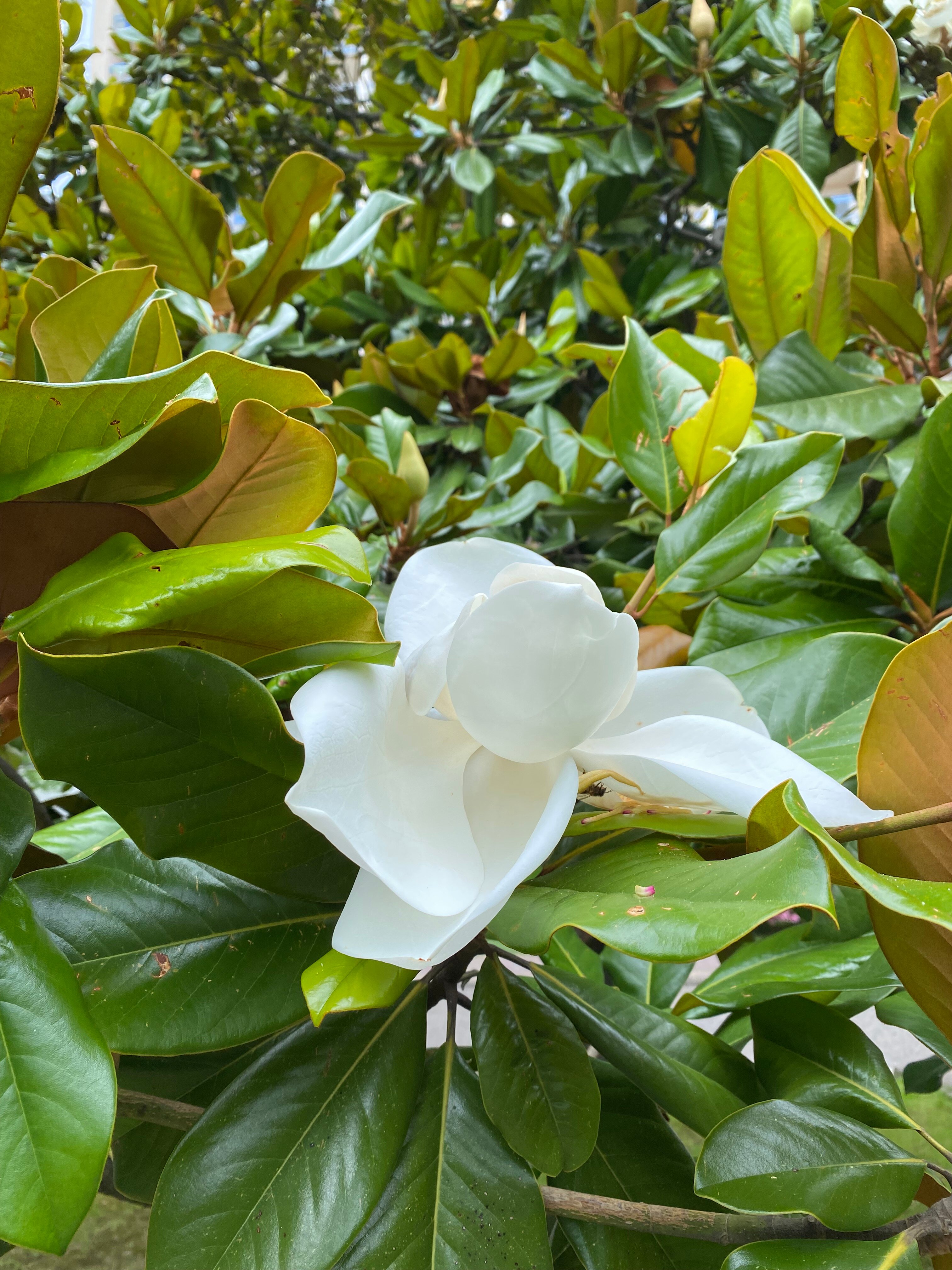 Фото Тихая Гавань