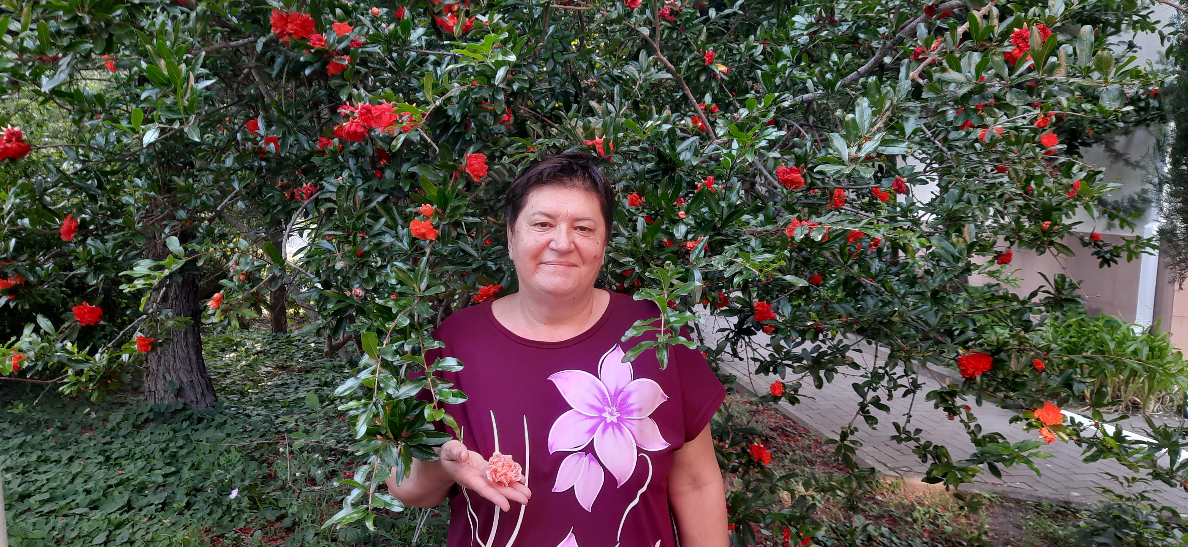 Фото Рассвет