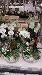 7FLOWERS-Decor (Moscow, Molodogvardeyskaya Street, 61с19), interior goods