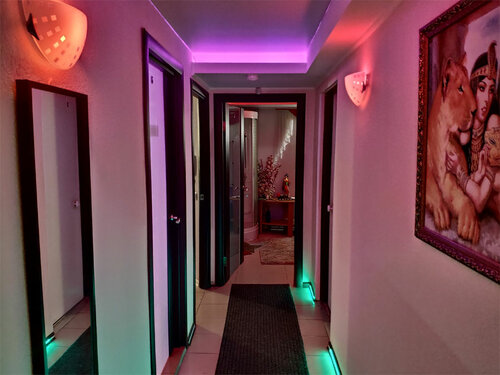 Зәр шығару қынаптарының жақыннан түсірілген бейнелері