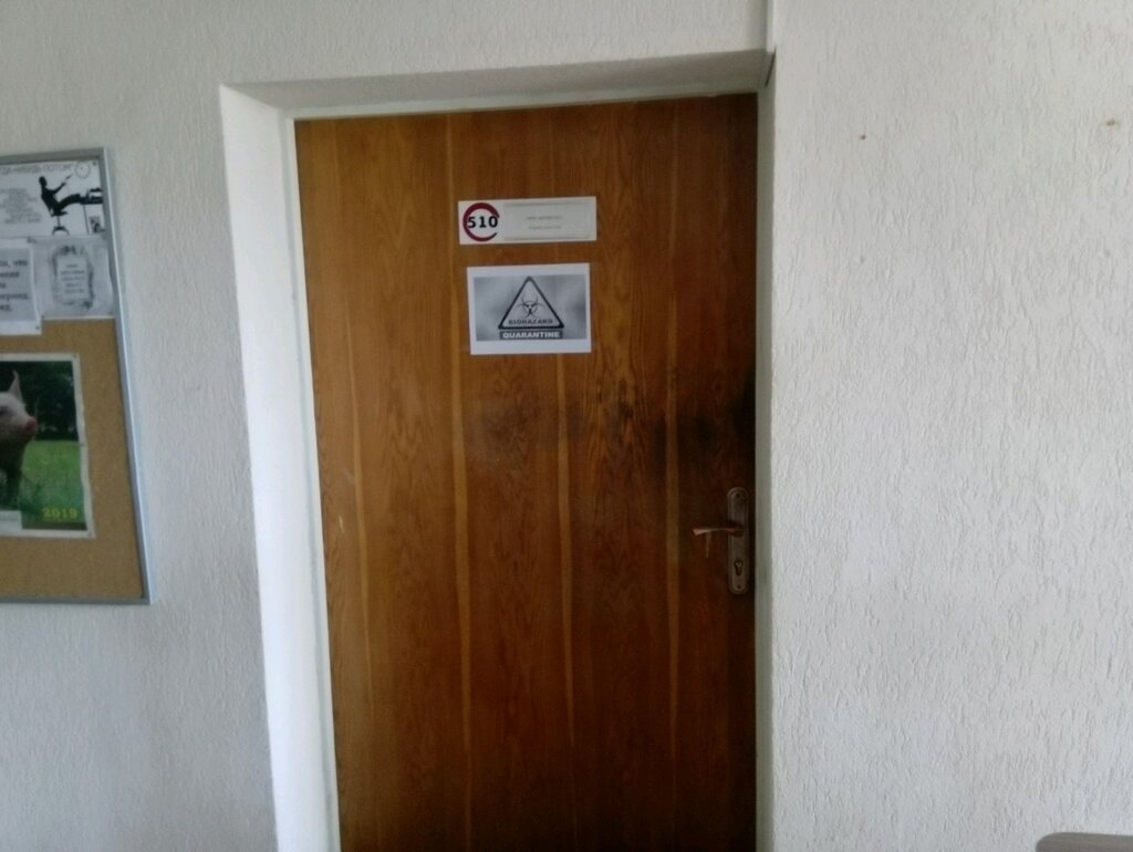 Software companies Компэду, Mogilev, photo