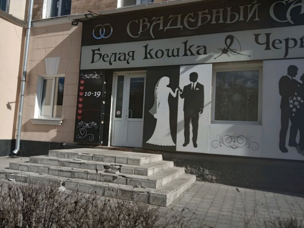 Белая Кошка Магазин