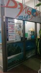 Agentstvo Delfi-Tur (Zaparina Street, 115), travel agency