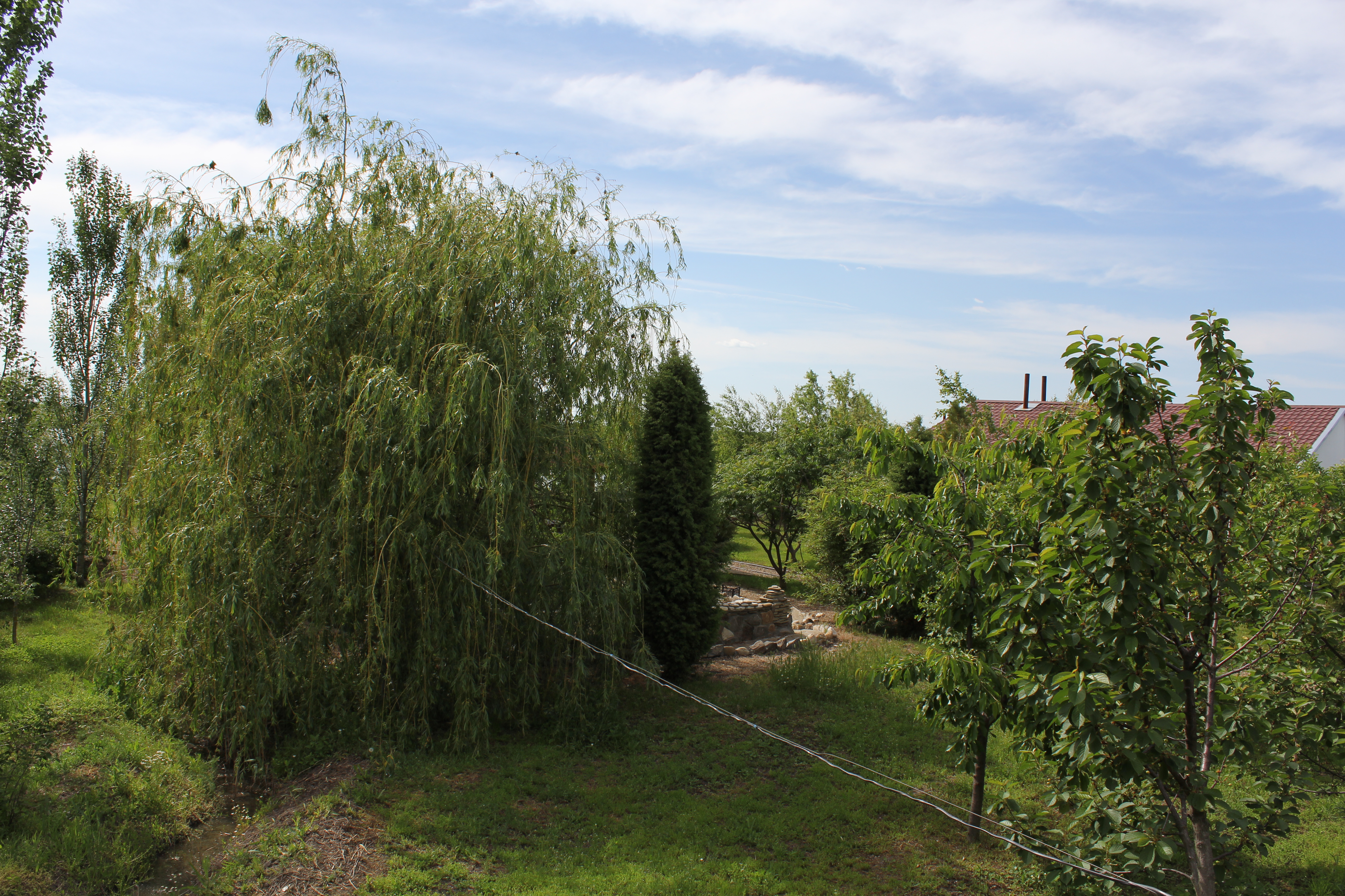 Фото Тихий Причал