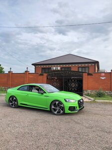Двор сурка