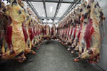 Prussky myasnoy kombinat (Moskovskiy Avenue, 185), meat products wholesale