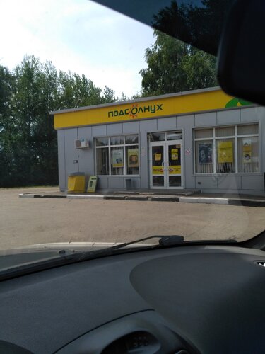 Gas station Rosneft', Penza Oblast, photo