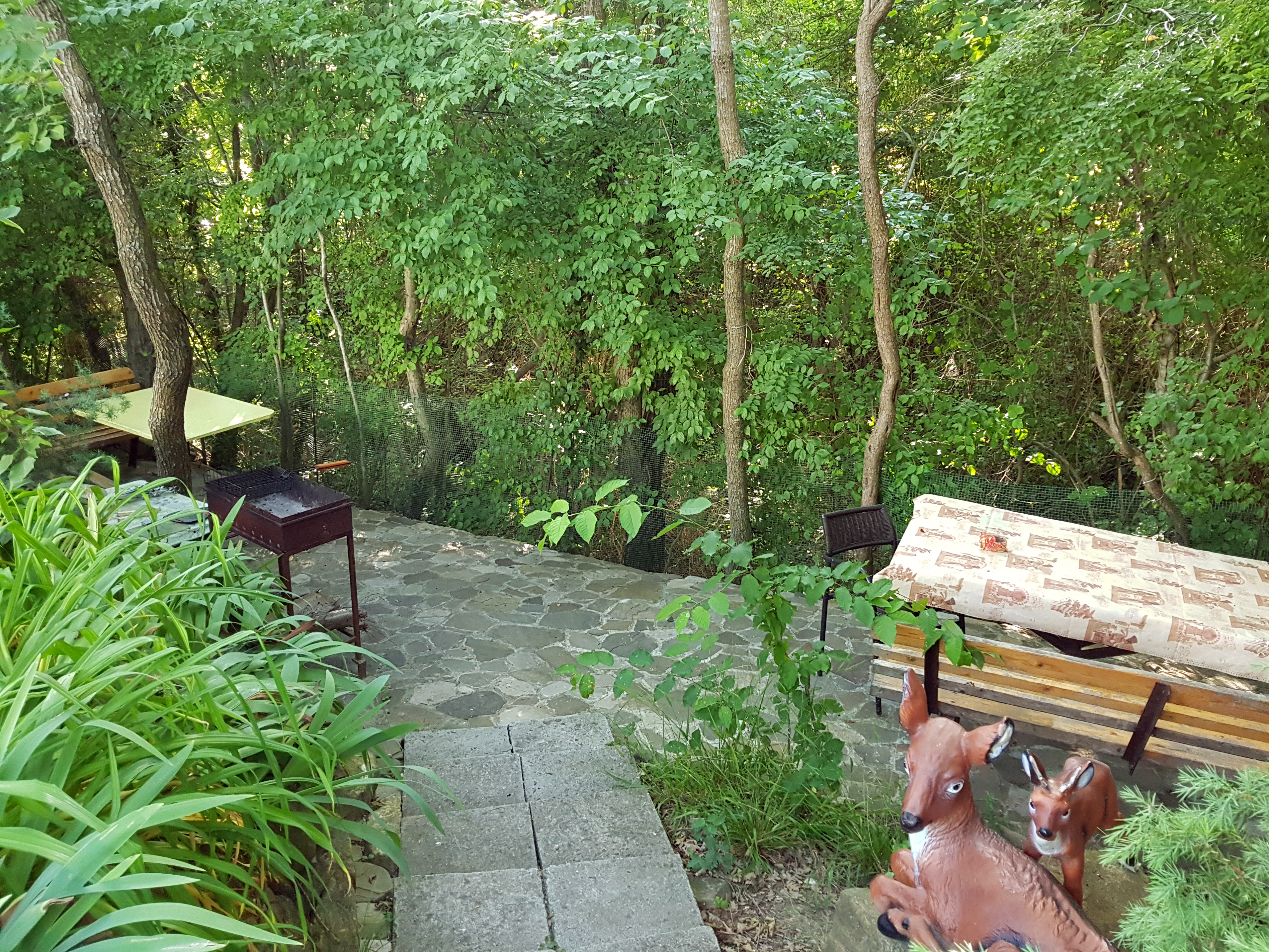 Фото Бирюза