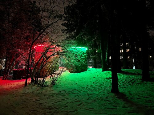 Гостиница Ленинградская АЭС-Авто фото 9