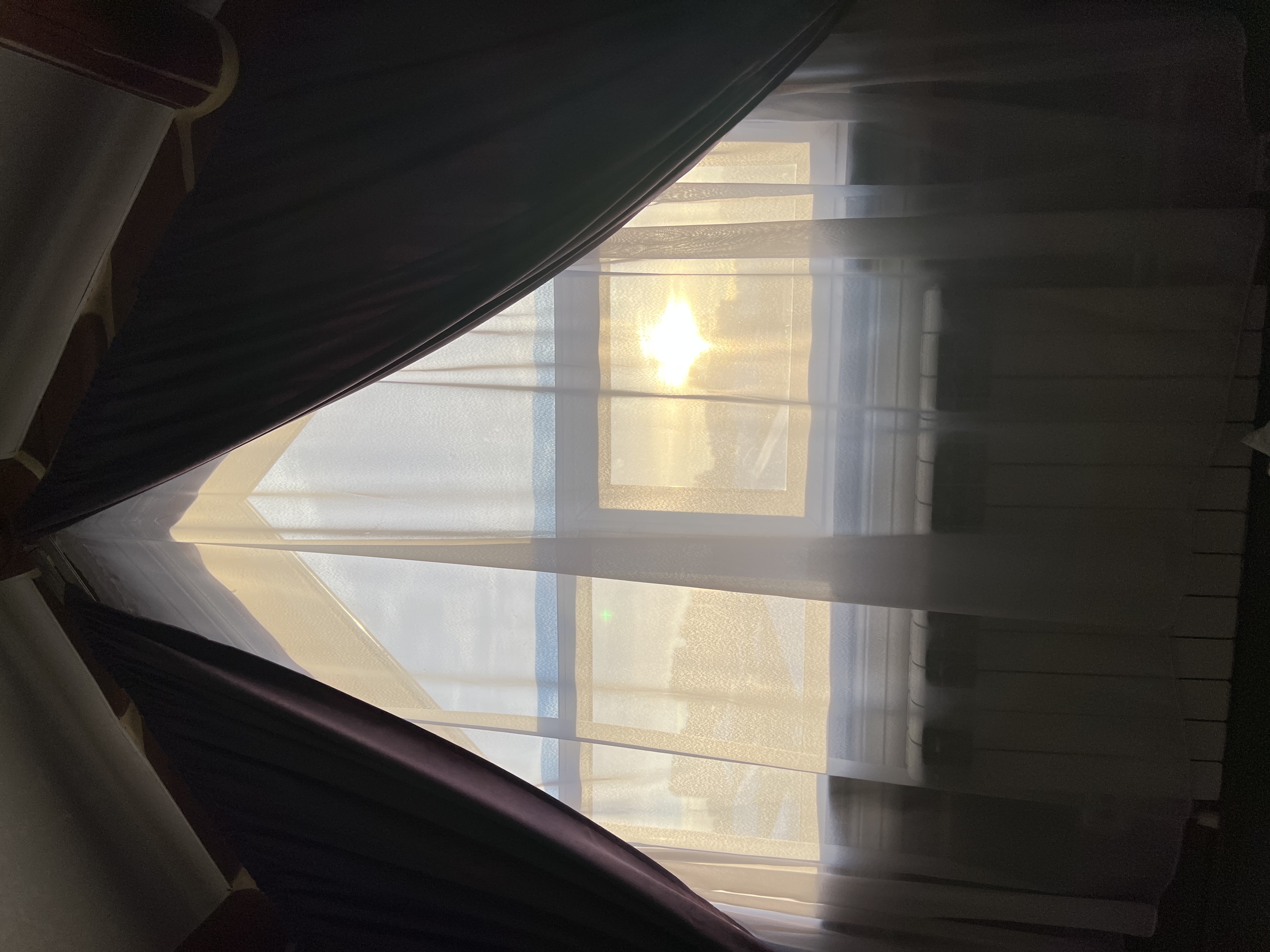 Фото Берёзка