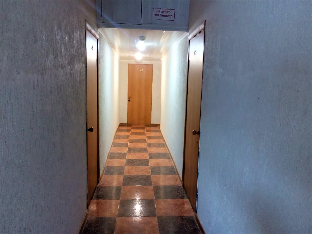 Фото Пальма