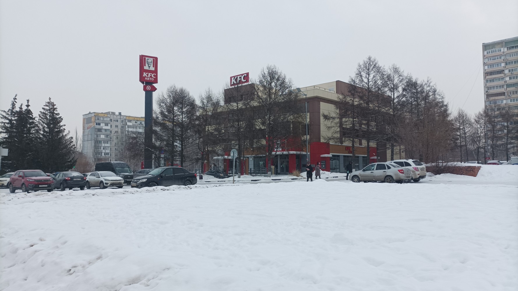 Коала ленинский просп 1а тольятти фото